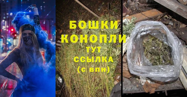 дурь Болохово