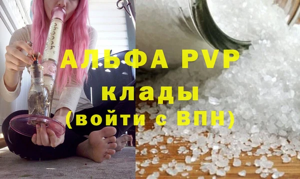 молекула духа Костерёво