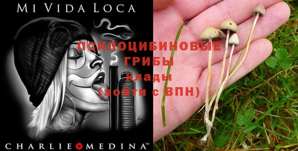 молекула духа Костерёво