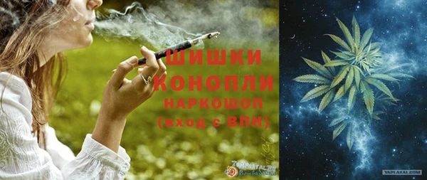 молекула духа Костерёво