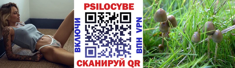 мега онион  Касимов  Галлюциногенные грибы Psilocybine cubensis 