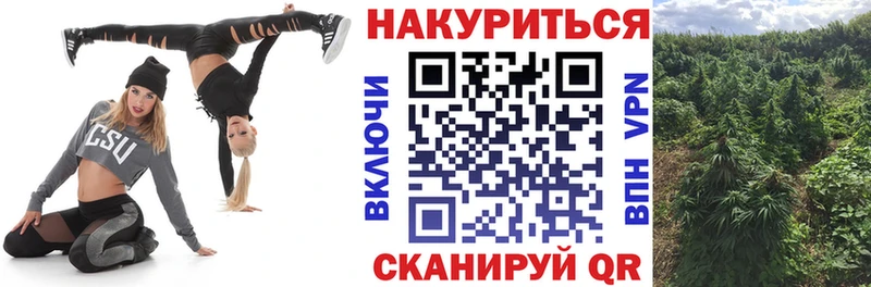 Бошки марихуана OG Kush  гидра   Касимов 